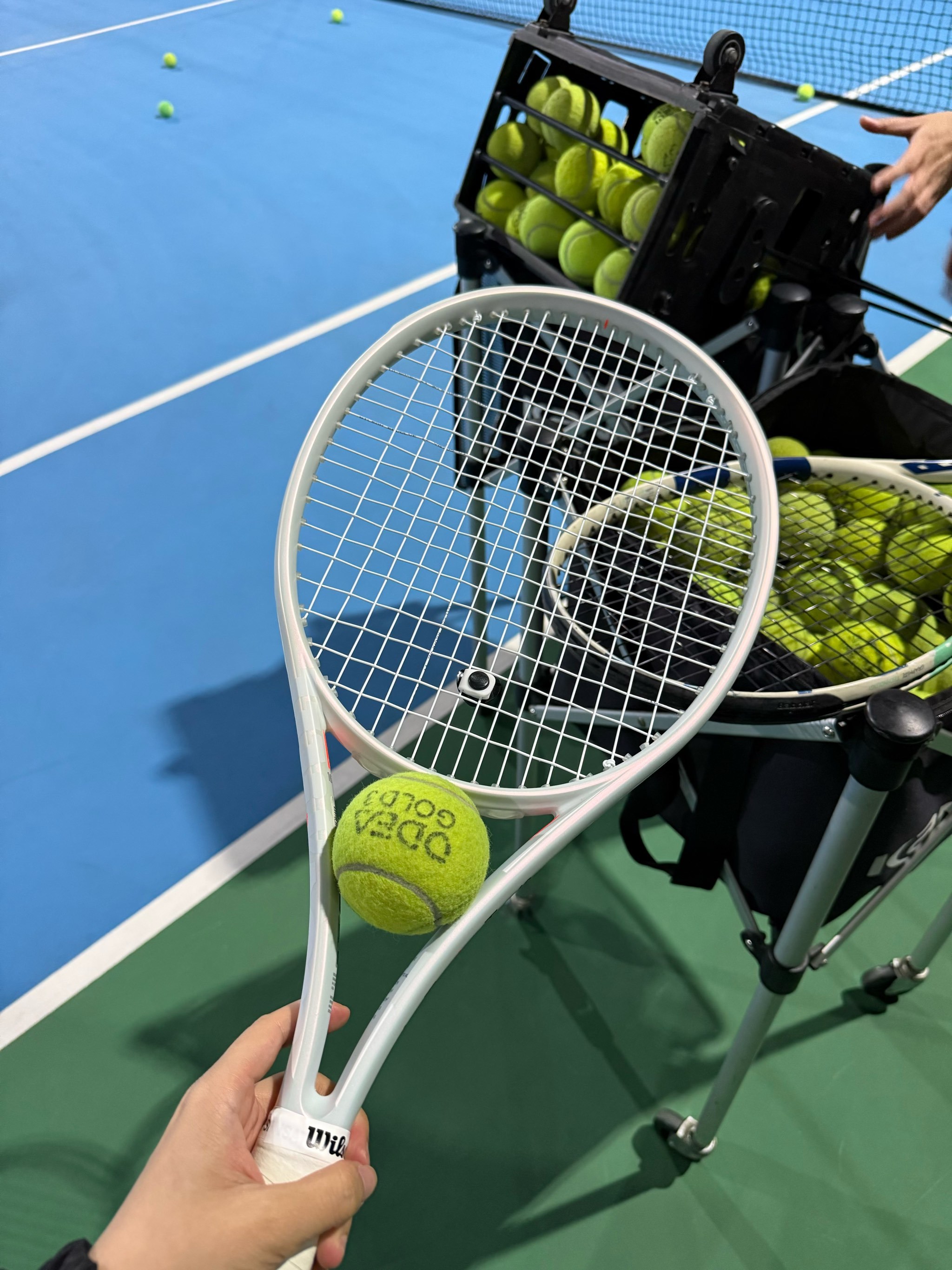 无论是基础 无论是基础