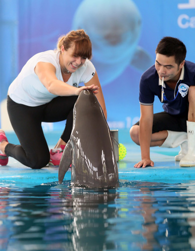 渐进的规律 渐进的规律