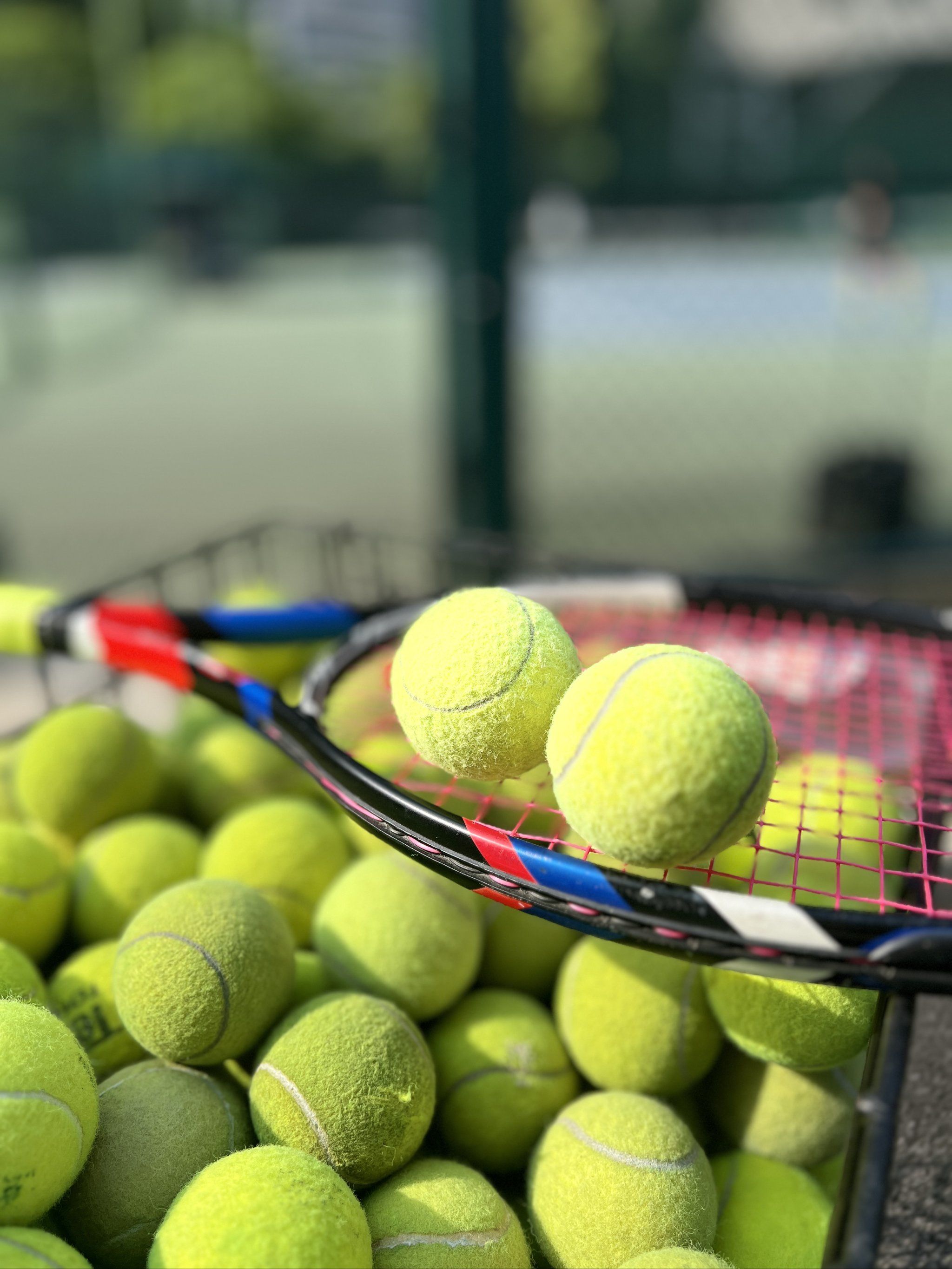 在训练中 在训练中